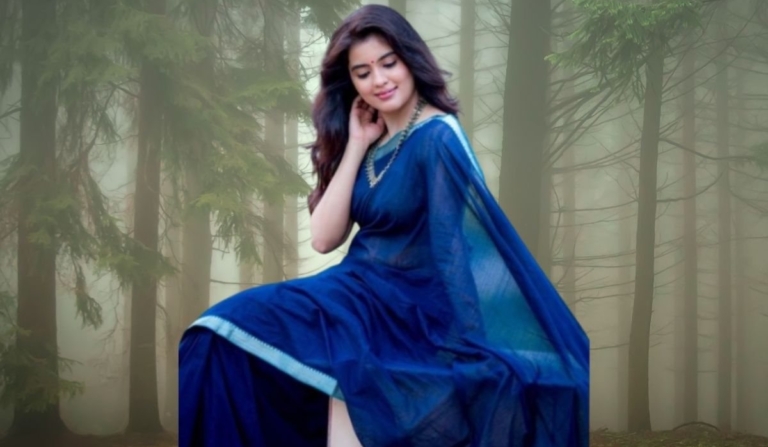 Karigari Saree