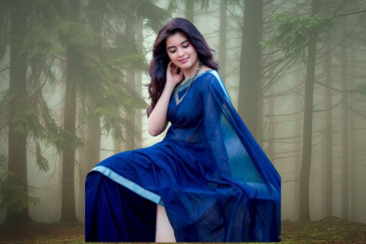 Karigari Saree