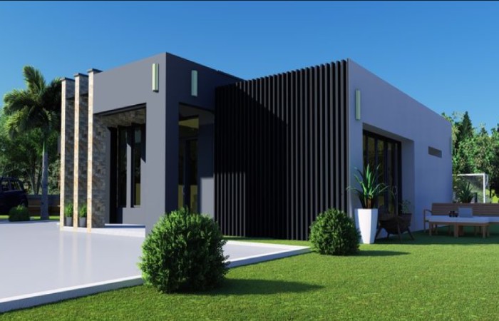 Modern Single Floor House Design(Pillars)