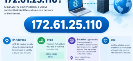 172.61.25.110: IP Address Lookup, Location and Network Details